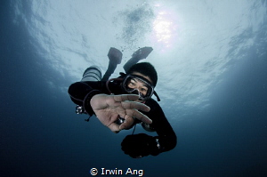 Model of the day
Diver
Puerto Galera, Philippines. Octo... by Irwin Ang 